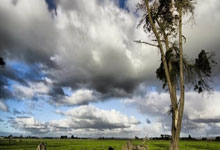 俄罗斯凭篮板击败“神经一样”对手，欧洲预选赛大比分胜负的背后故事